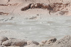 DSC_2903.JPG