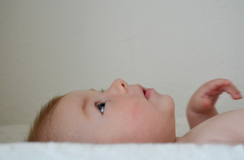 HPP_4150 HPP_4150