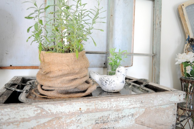[cratewithplant4.jpg]