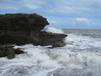 Tasman Shore
