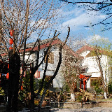Shuhe