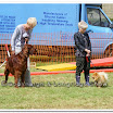 Pet Dogs 013.jpg