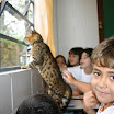 indiEscola 147.jpg