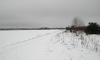 SAM_7034.JPG Photo