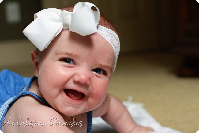 IMG_8374 IMG_8374
