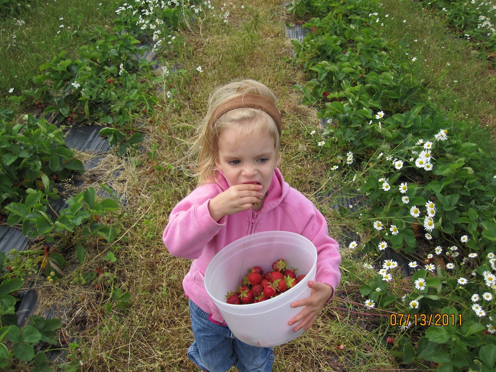 [IMG_60095.jpg]