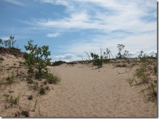 [IMG_1991_thumb12.jpg]