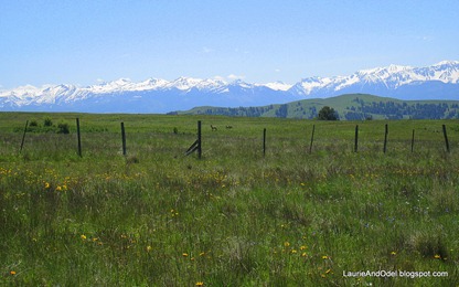 Zumwalt Prairie Elk