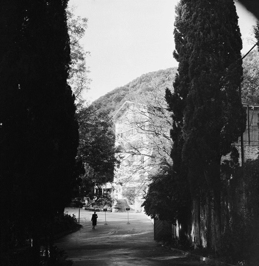 clip_image039 clip_image039