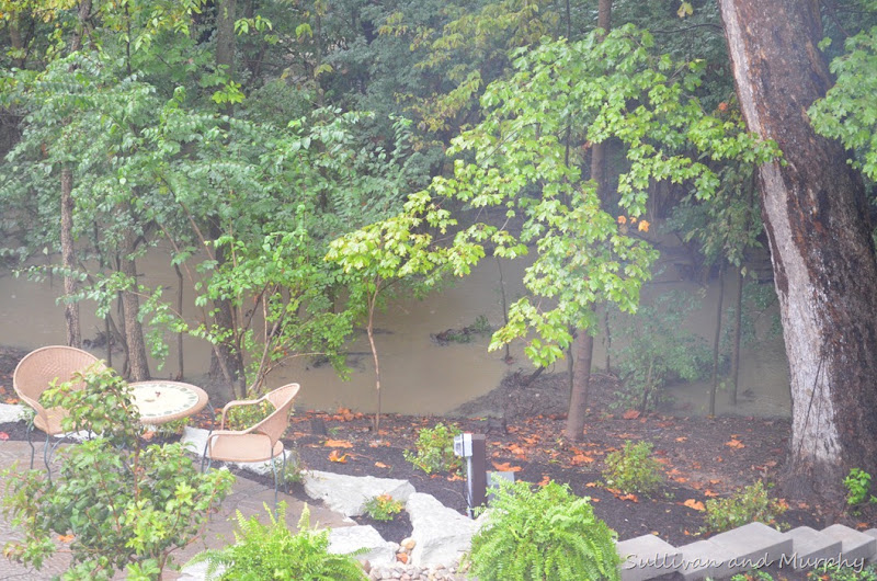flooding backyard1