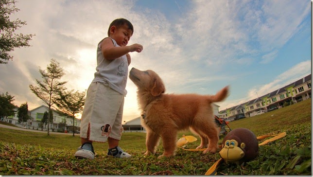 IMG_8573 IMG_8573