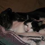 100_1062.jpg