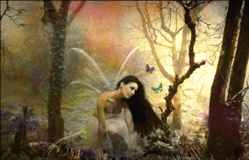HADAS BUSCOIMAGENES (7)