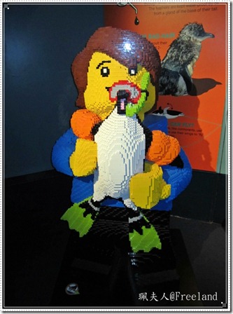 aquarium6