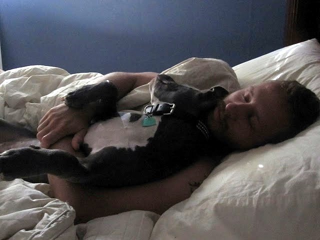 [zoey%2520bed2%255B12%255D.jpg]