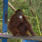 Und nach ausgiebigem Mal gibts noch ein Schlückchen aus der Dose. Marco, Marco, also so was!