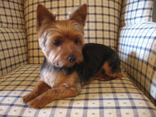 [Grooming%2520before%2520and%2520afters%2520026%255B2%255D.jpg]