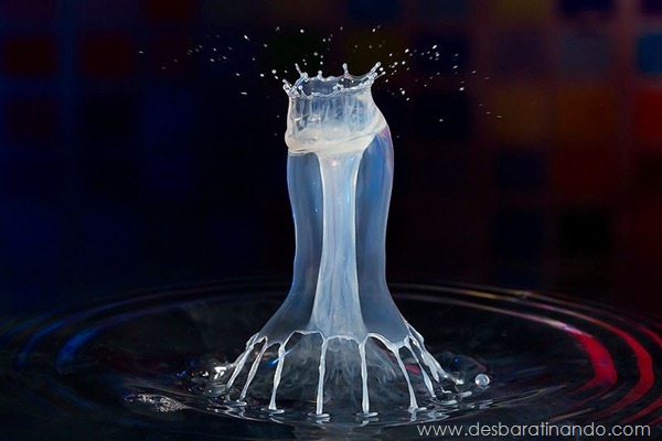 liquid-drop-art-gotas-caindo-foto-velocidade-hora-certa-desbaratinando (232)