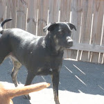 DSCN4681.jpg