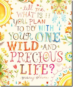 plans for wild life