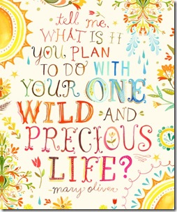 plans for wild life plans for wild life