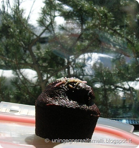 muffin cacao senza uova latte burro acqua muffin cacao senza uova latte burro acqua