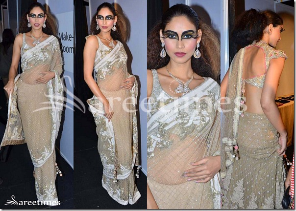 Shane_and_Falguni_Peacock_Saree