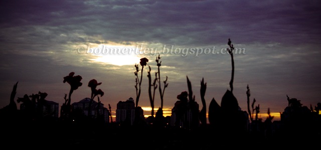[IMG_7825edited%2520watermarked%255B10%255D.jpg]