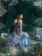 Swans And Sea Witch