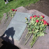 IMGP1883.JPG