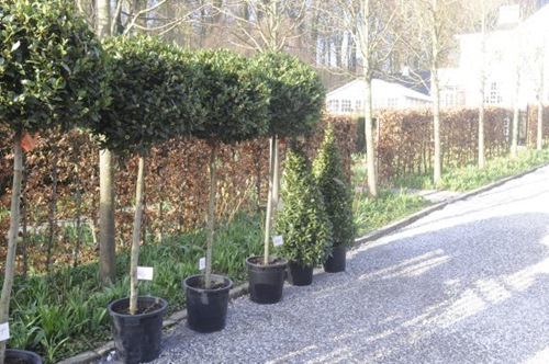 claus20120330_070506