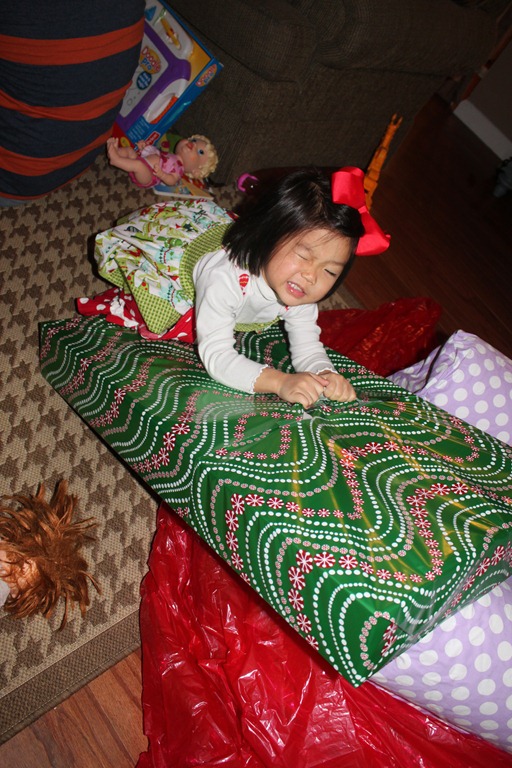 [christmas%2520539.jpg]