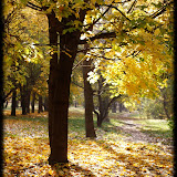 Октябрь 2011