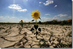 SPAIN-DROUGHT душевная болезнь