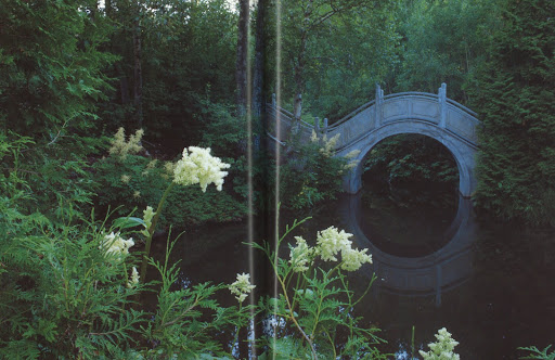 The shapes and palette along with the general mood of the Moon Bridge brings me peace.