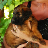 Abi - DSC_0187.jpg