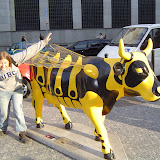 Europe Trip - Cows - cow8.JPG
