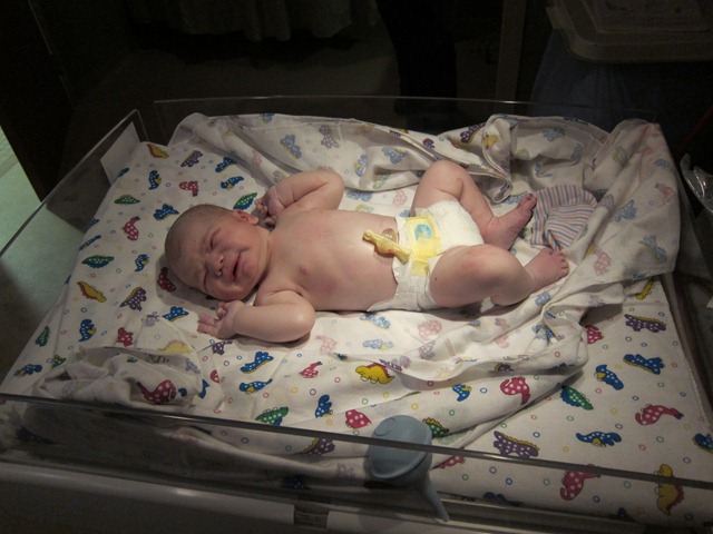 [birth%255B2%255D.jpg]