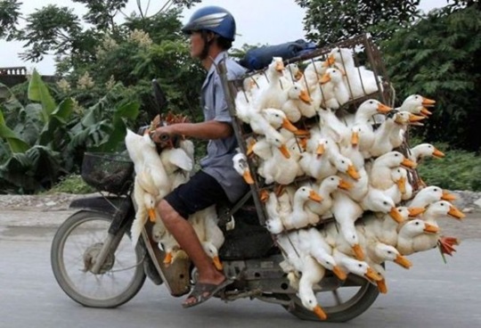 [viral-picdump-pics-41740b%255B2%255D.jpg]