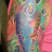koi2