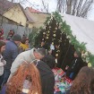 DSCN0847.JPG