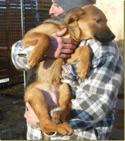 Bankó 2011.12.20. 3