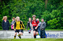 20130530 - WVV E2-F2 - BNC TOERNOOI - 017.jpg