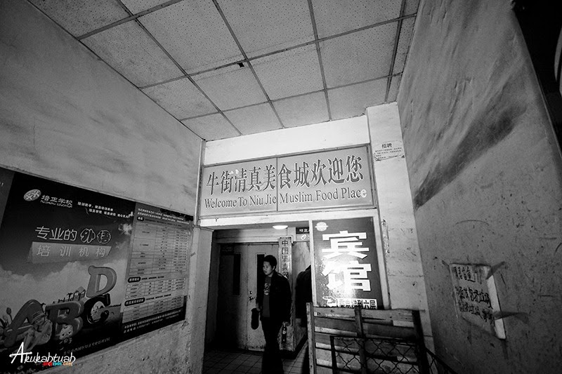 DSC02524 DSC02524