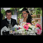 IMG_9762.jpg