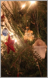 IMG_0401 IMG_0401
