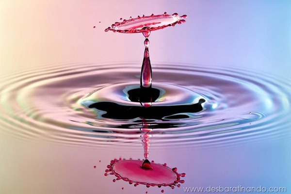 liquid-drop-art-gotas-caindo-foto-velocidade-hora-certa-desbaratinando (215) liquid-drop-art-gotas-caindo-foto-velocidade-hora-certa-desbaratinando (215)