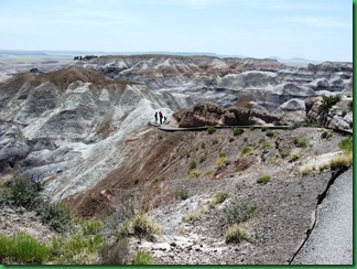 Painted Desert & Petrified Forest 164