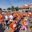 ipse tomegfitas g-24.jpg