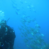 Recco - Secca Gonzatti